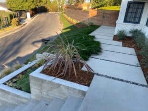 Modern Walkway and Fence