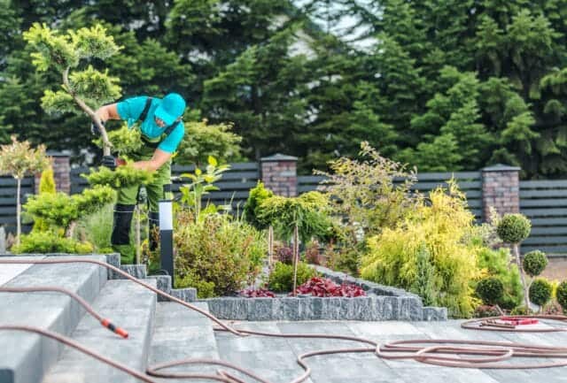 What Are the Benefits of Professional Garden Installation