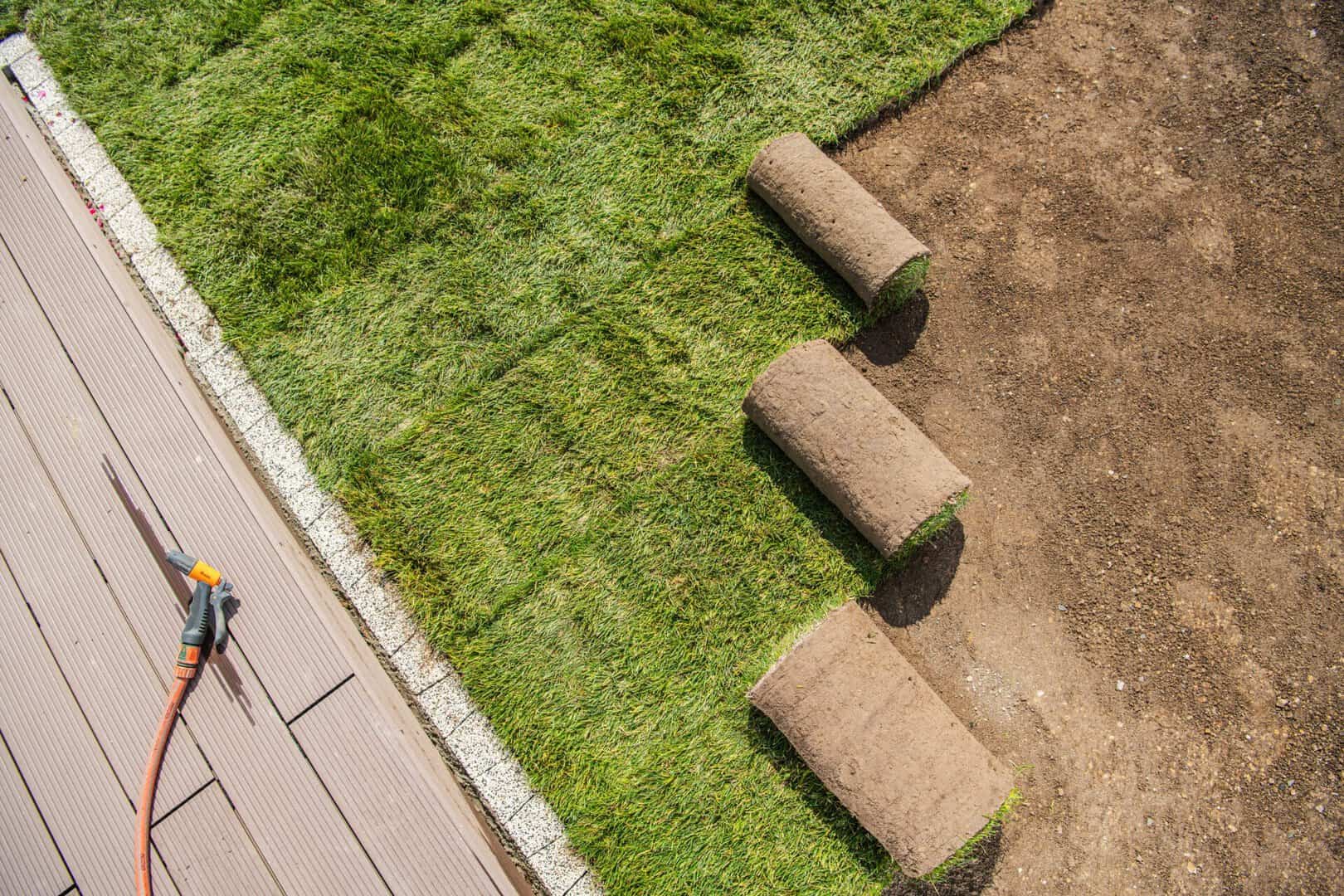 Different Types of Sod for Your Lawn